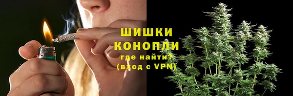 сатива Баксан