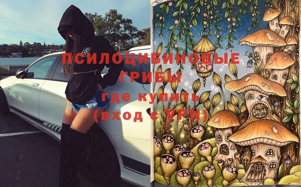 сатива Баксан