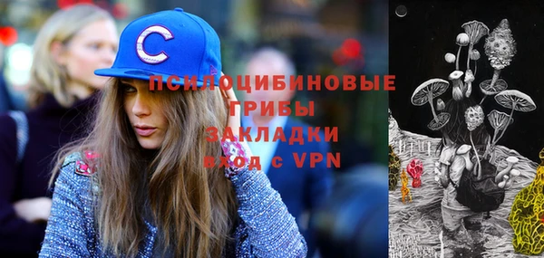 гашик Арсеньев