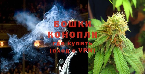 гашик Арсеньев