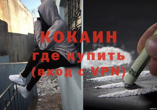 сатива Баксан